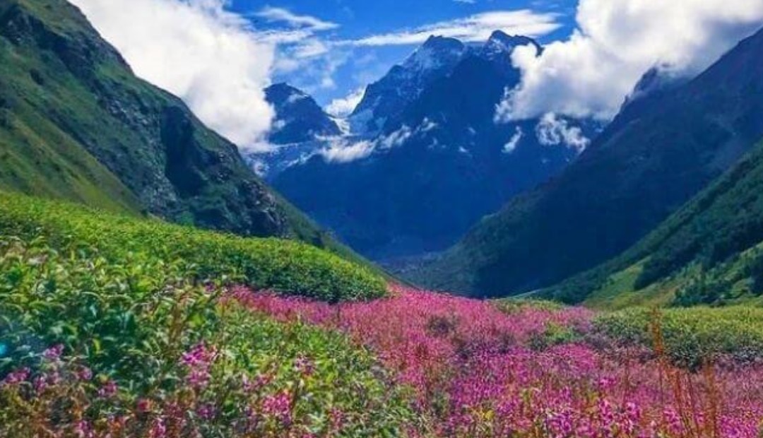 The Valley of Flowers